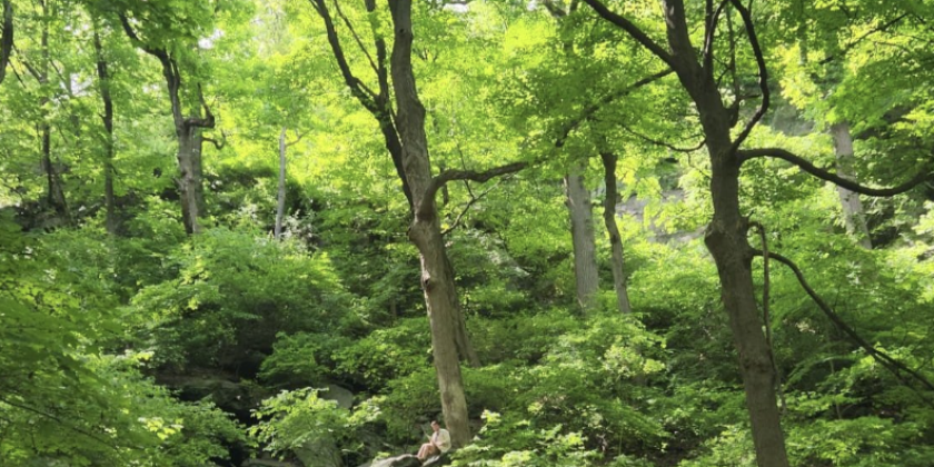 Kinesis Project dance theatre Joins Inwood Art Works at Film Works Alfresco