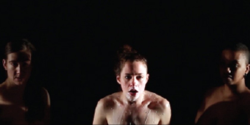 Triskelion Arts Presents... AORTA films