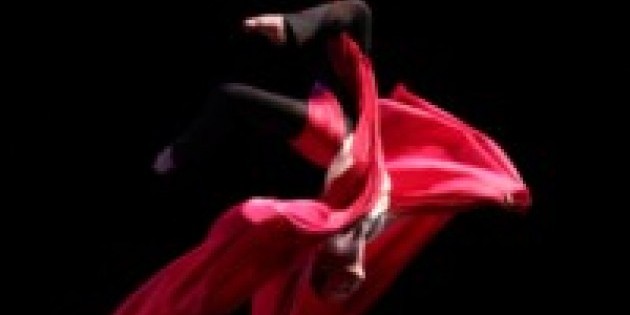 2011 NYC Aerial Dance Festival