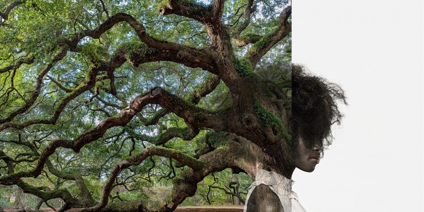 Okwui Okpokwasili's "Adaku&rsquo;s Revolt"