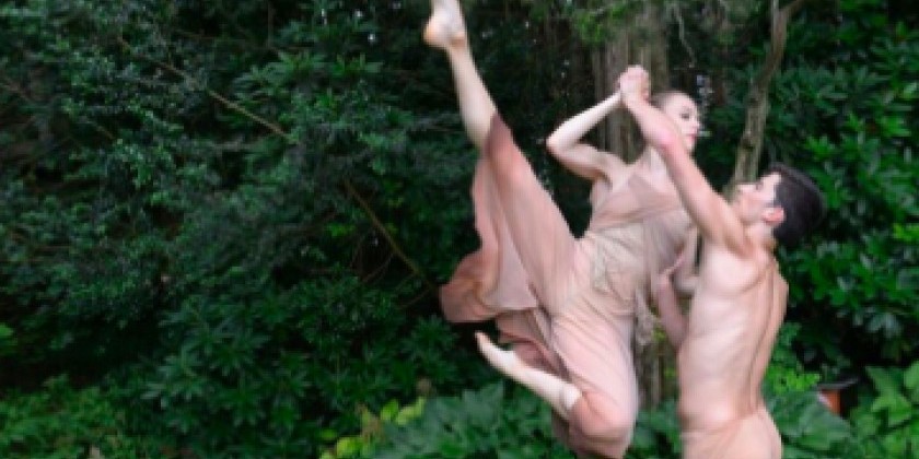 Amanda Selwyn Dance Theatre presents GREEN AFTERNOON V
