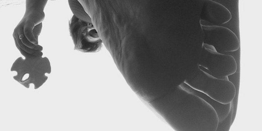 ONLINE Choreography for the Camera Workshop