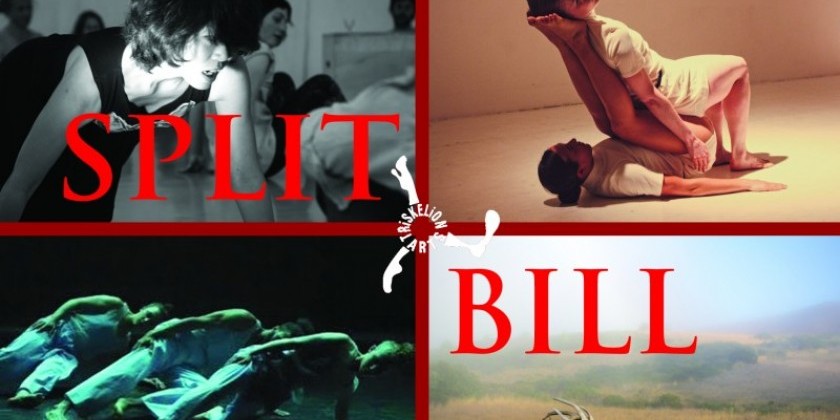 Apply for Split Bill at Triskelion Arts