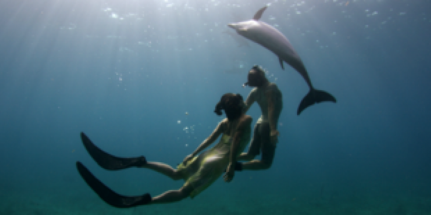 DANCE FILMS ASSOCIATION & BAAD! CO-PRESENT ADF'S MOVIES BY MOVERS IN NYC