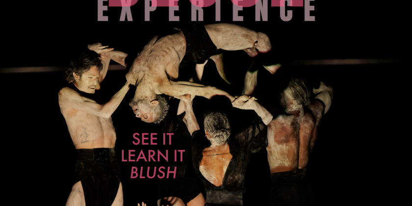 BLUSH Experience
