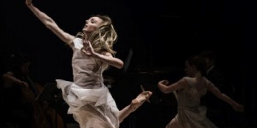 ALISON COOK BEATTY DANCE SEEKS LOGISTICS + MARKETING INTERNS