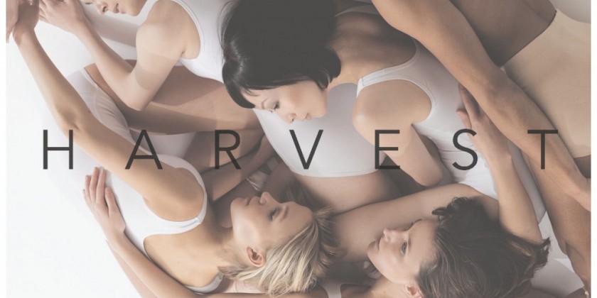 Gemma Bond Dance presents HARVEST at Danspace Project