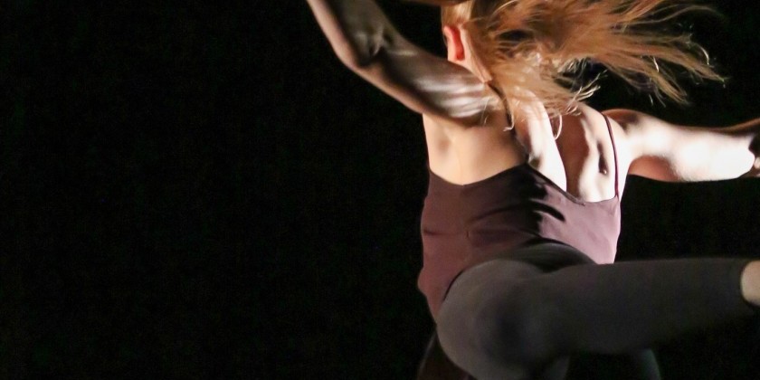 Biomorphic Dance Festival V