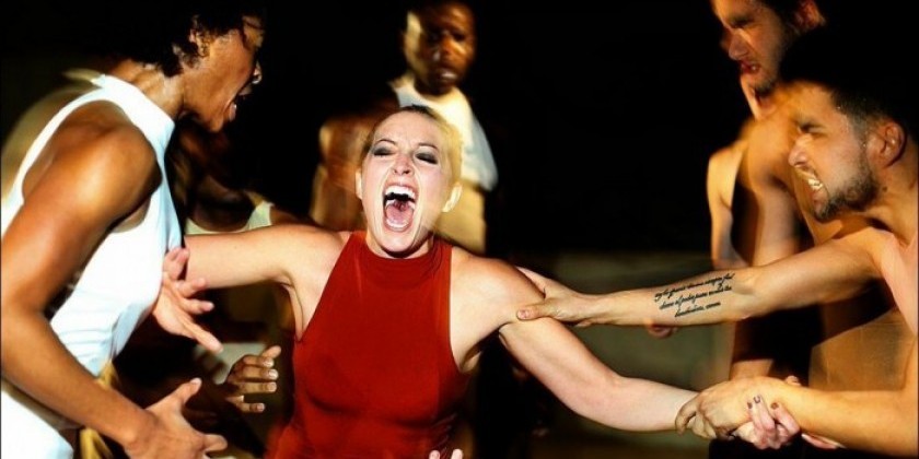 Administrative Intern for The Creature