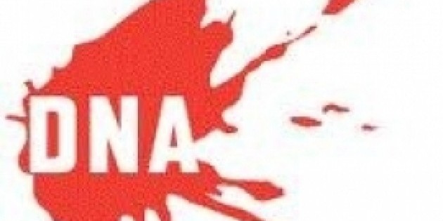 This Week In the Theater: Three Shows!