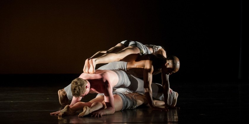 NEWARK, NJ: Carolyn Dorfman Dance in Jersey Moves! Festival of Dance