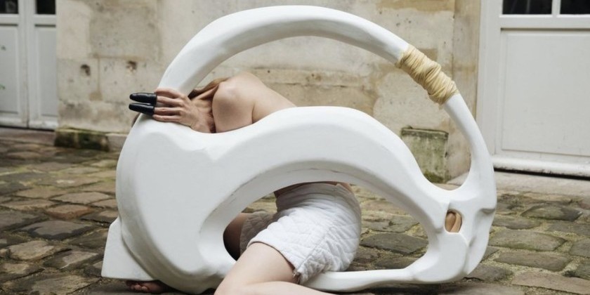 L'Alliance New York presents the North American premiere of delicate people