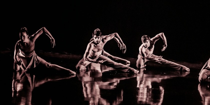 Jessica Taylor/DAMAGEDANCE Seeks Fall Interns!