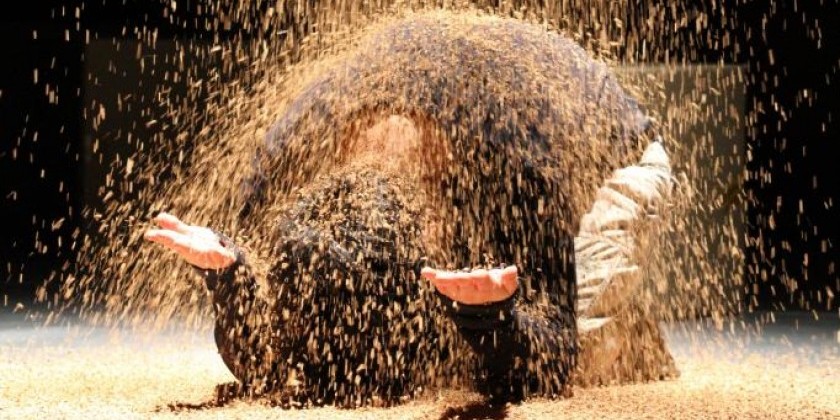 8th annual WAVE RISING SERIES