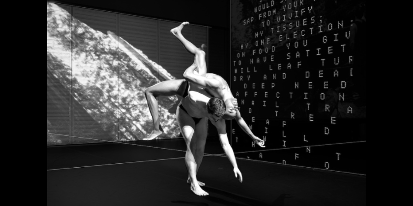 POSTCARDS: Site-Specific Dances Presents "Love Letters: Cage to Cunningham" at Guild Hall of East Hampton this November 8th