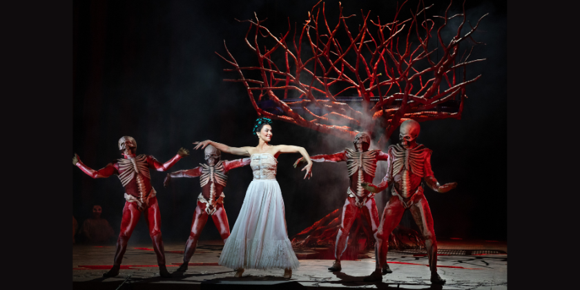 IMPRESSIONS: Opera and Dance: El Último Sueño de Frida y Diego and Carmen
