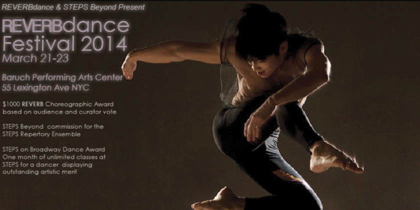 REVERBdance Festival 2014