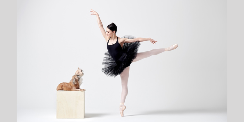 POSTCARDS: Sarah Lane of Dance For Paws Brings Dancing Stars to Symphony Space to Support Animal Welfare