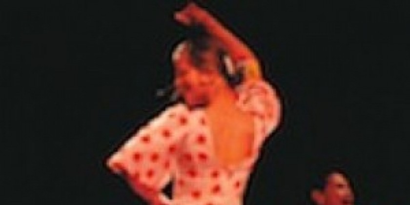 Day in the Life of Dance: Behind the Byline — Deirdre Towers on Writing for The Dance Enthusiast