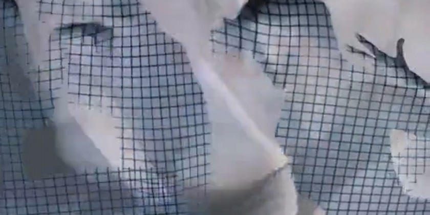 Cedar Lake to present installation Feb 6-7