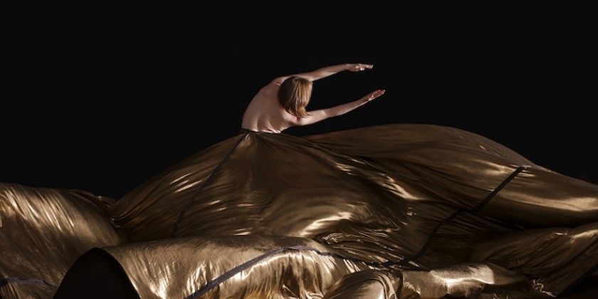 Satellite Collective at BAM