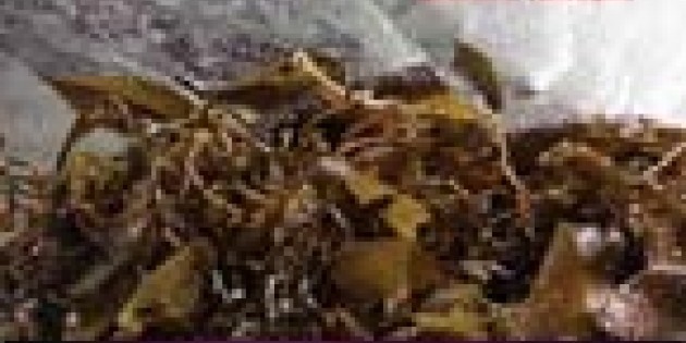 Fours on Tour: Choreography by Rachel Thorne Germond