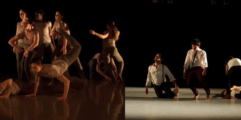 Take Root Presents De Funes Dance & MElder Movement Art