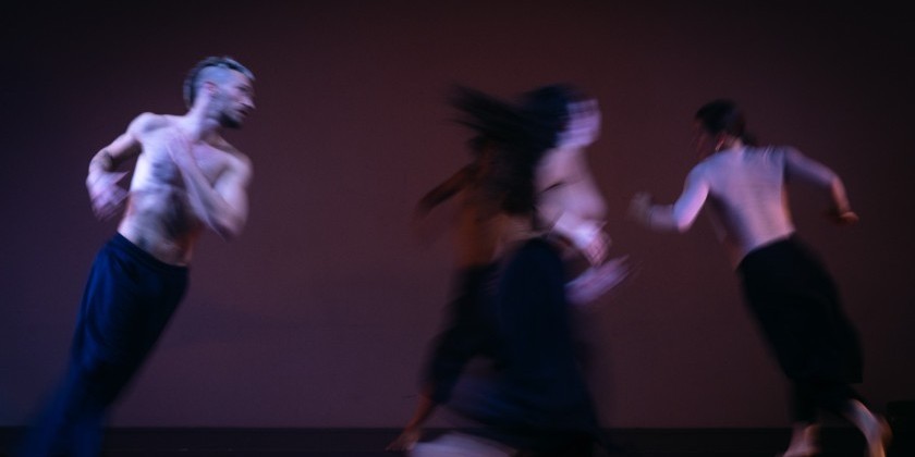 OR Works / Olga Rabetskaya Presents "La Playa" at New York Live Arts