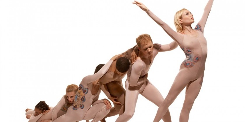 First Look: Taylor 2 Reveals "Tracer" (1962)