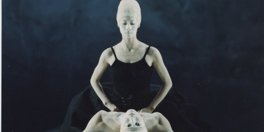 Shen Wei Dance Arts Marketing Development and Management Internships