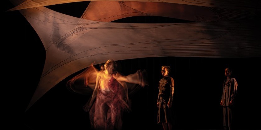 L'Alliance New York presents Wanjiru Kamuyu's Fragmented Shadows