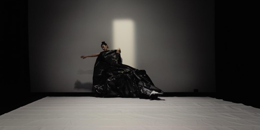 Laura Gutierrez's "In Tarps I Trust"