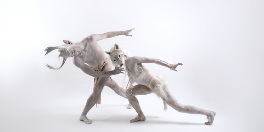 Daisy Chain: Christopher Williams and Artists 