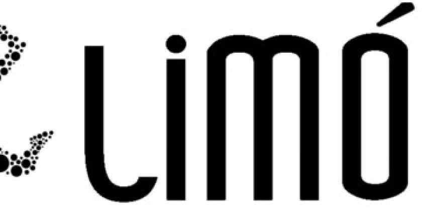 Limón NYC 2020 Summer Intensive