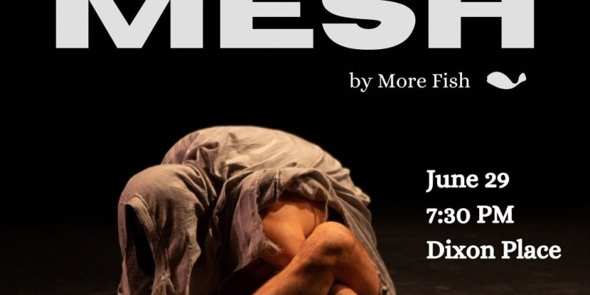 "MESH" by More Fish | Works by Doron Perk | Matilda Mackey | Nicole Leung | PJ Verhoest