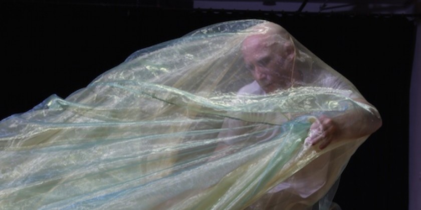 Impressions: Jeanette Stoner and Dancers