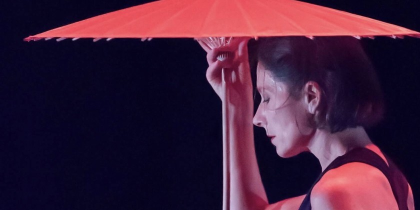 "Coming to the Surface" &mdash; A solo dance concert with Katie Stevinson-Nollet