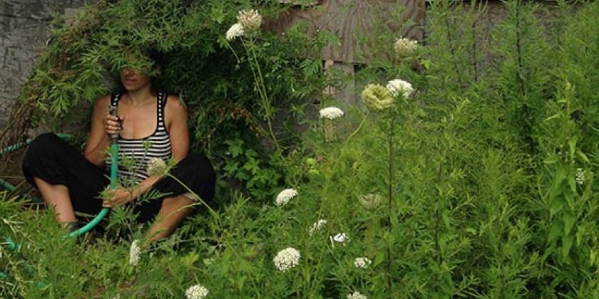 DE-CONSTRUKT [projekts] presents Eco Dance LABS 