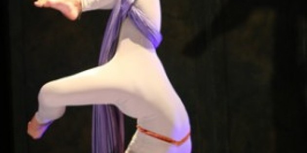 2010 NYC Aerial Dance Festival