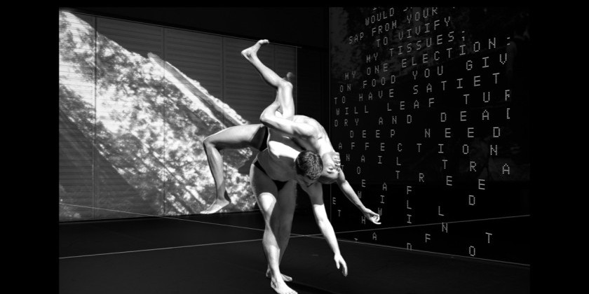 Love Letters : Cage to Cunningham 