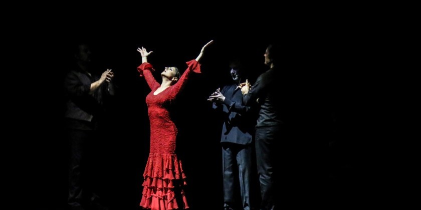 CAMBRIDGE, MA: Omayra Amaya Flamenco Dance Company presents "ANTES DEL FIN"