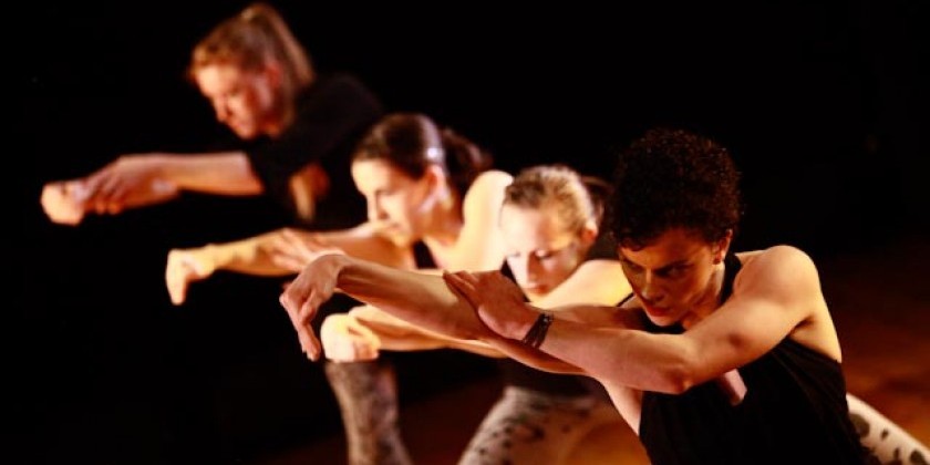 NYC10 Dance Initiative - November 19th, 2014