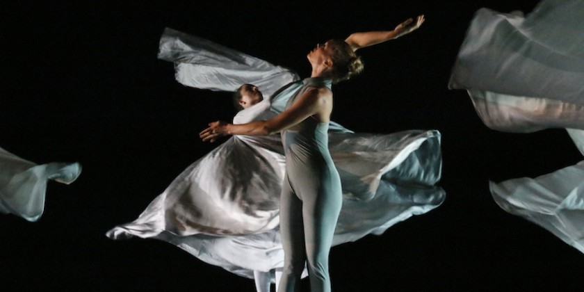 Impressions of Jody Sperling's "Bringing The Arctic Home"