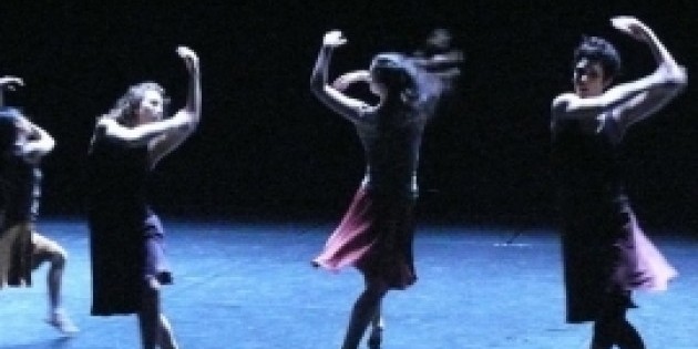 ZVIDANCE's 2013 Spring Gala Event