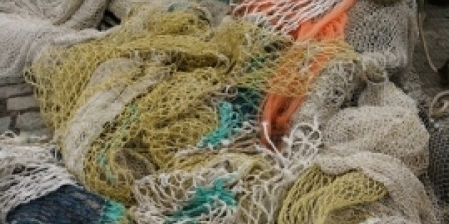 Dance Plus Spring Concert at Rutgers University!