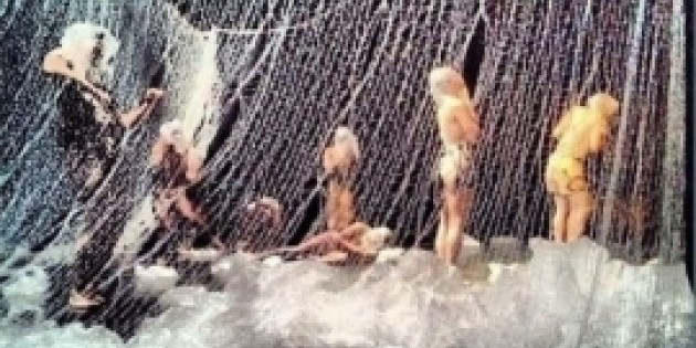 News on Company Stephanie Batten Bland