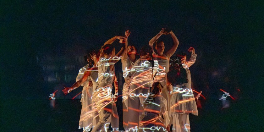 MFA in Dance with two named options: 1) Creative Research, Culture, and Practice and 2) Screendance