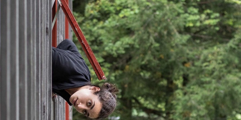 DOLLY SFEIR x The Playground NYC