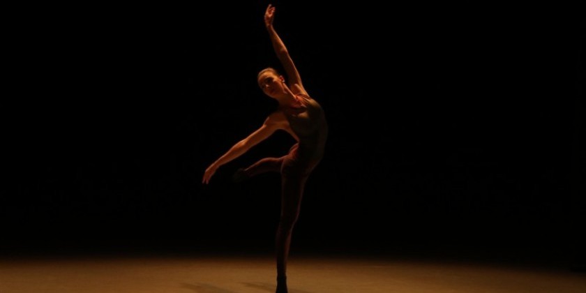 Theater Manager at Peridance 