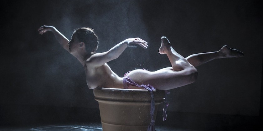 KineticArchitecture Dance Theatre & Locomotive Artistries Spring Season 2015!